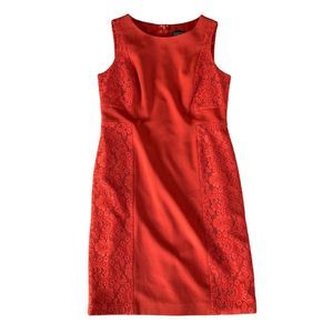Adrianna Papell Women’s Size 14 Orange Lace Paneled Sheath Dress Sleeveless
